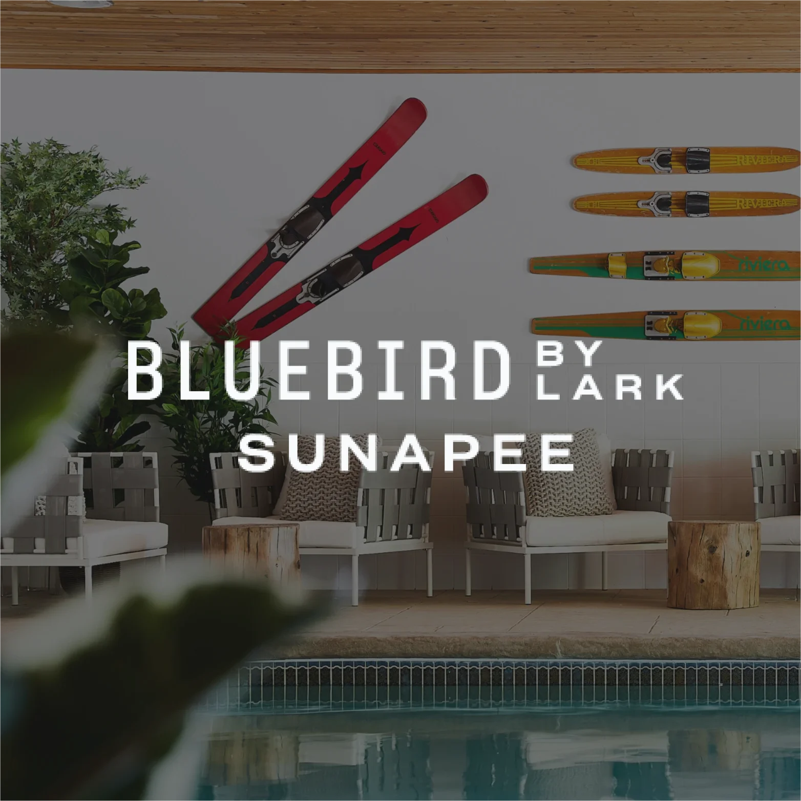 Bluebird By Lark Sunapee: Tag Client